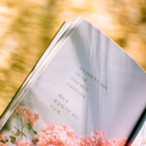 초코붕어빵, 너의 하루를 안아줄게