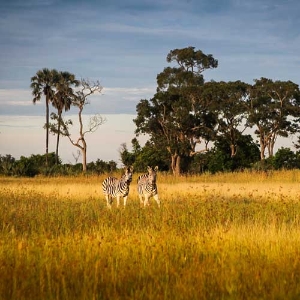 [여행자의 말] 7화. 나는 동물을 죽이는 사냥꾼이었는데 지금은 가이드를 해