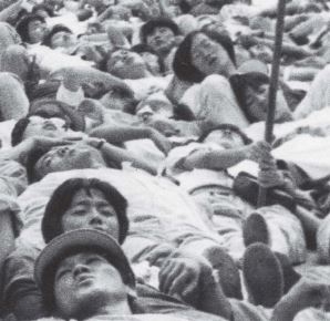 대학생 시국선언 이어져...<br>대한민국의 청년정신이 살아나다