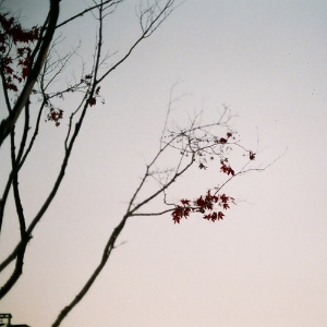 4, 이별 숙취