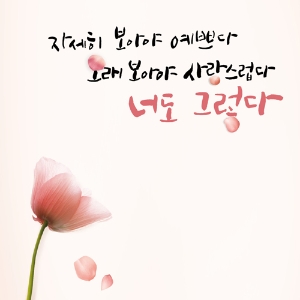 우리말 사냥꾼, '광화문글판'의 숨은 이야기