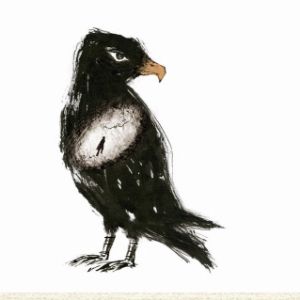 류시화 시인의 해설로 읽는 한 줄의 시, 하이쿠