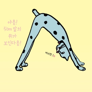 [냥이 안방 요가]#4. 견상 자세