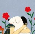 일교차 큰 요즘, 환절기 건강 잘 챙기세요, 마음까지도.