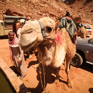 [여행자의 말] 8화. 돈은 있니? 내가 사줄까?