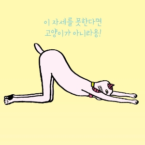 [냥이 안방 요가]#2. 고양이 등 뻗기 자세