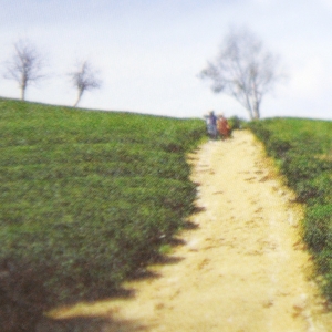 휴가 때 읽을 책 ③ 서른을 앞두고 혼자 여행