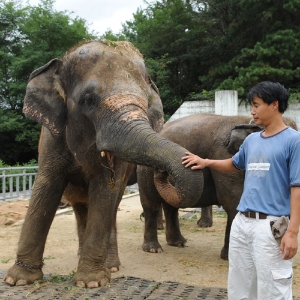 코끼리를 사랑한다는 것은 『달려라 코끼리』 최종욱