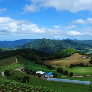강릉으로 간 여자 4. 마음길을 걷다
