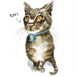 내 고양이의 은밀한 사생활 『로스트캣』