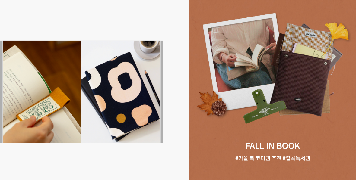 FALL IN BOOK
