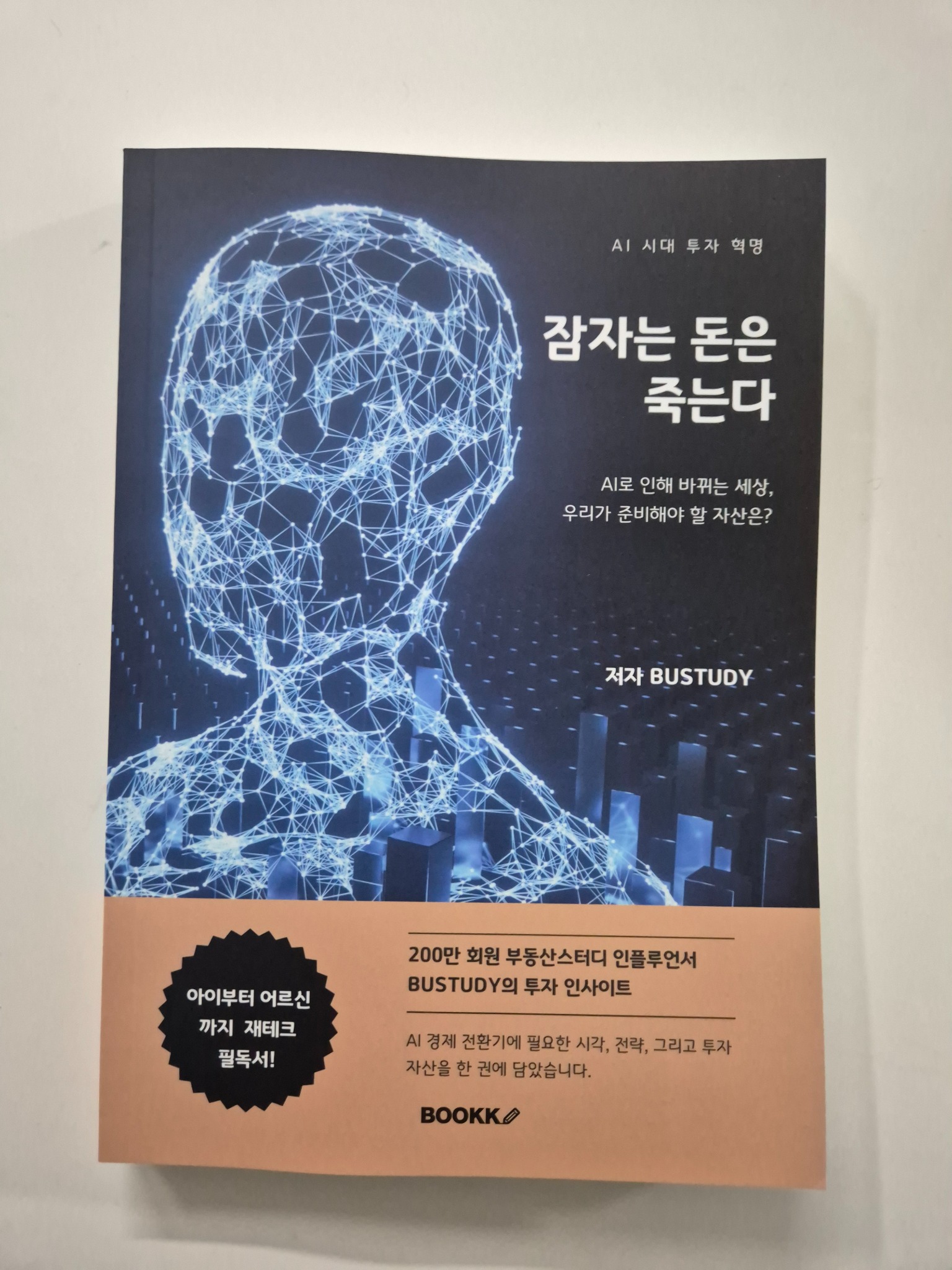 잠자는 돈은 죽는다 | BUSTUDY - 교보문고