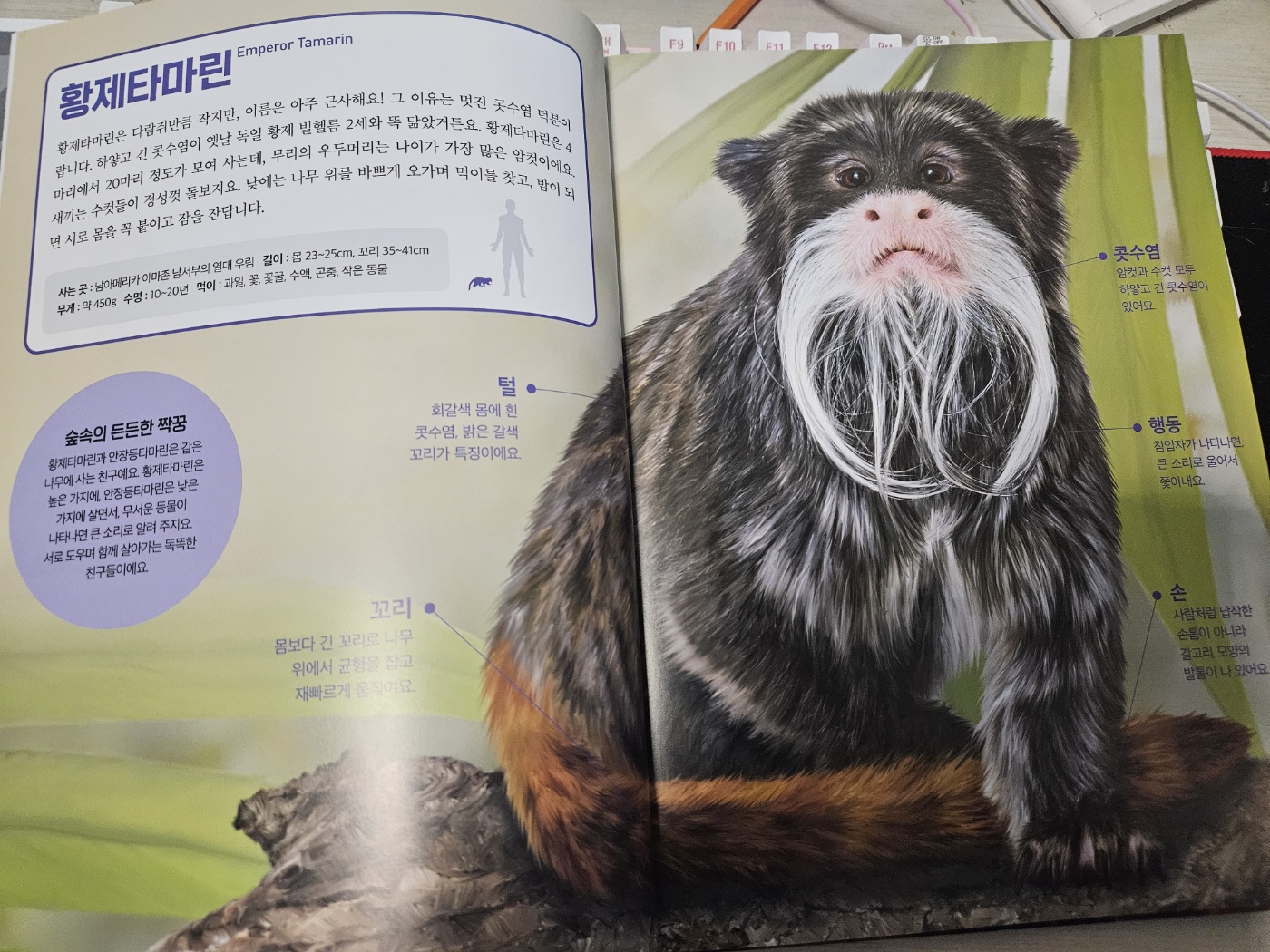 진짜 진짜 재밌는 영장류 그림책 - 교보문고