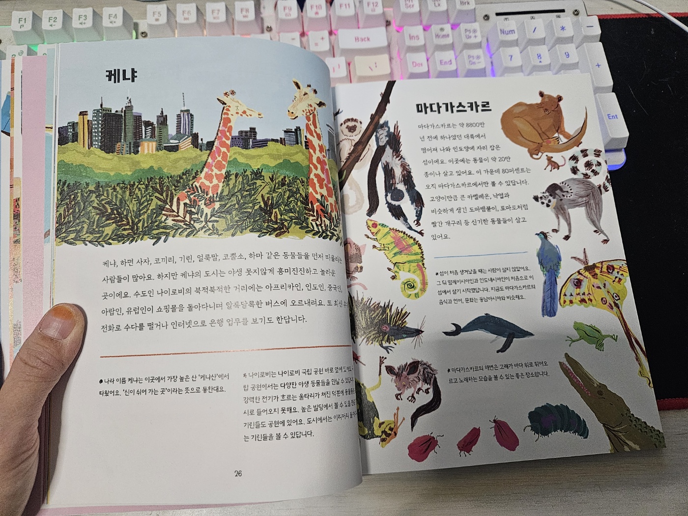 지리마블 아프리카 | 아티누케 - 교보문고