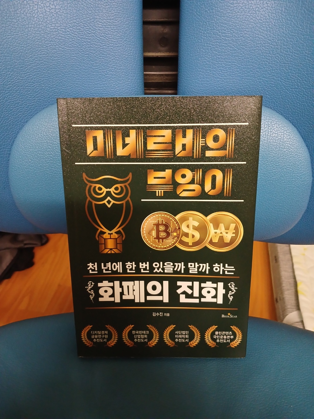 미네르바의 부엉이: 천 년에 한 번 있을까 말까 하는 화폐의 진화 | 김수진 - 교보문고