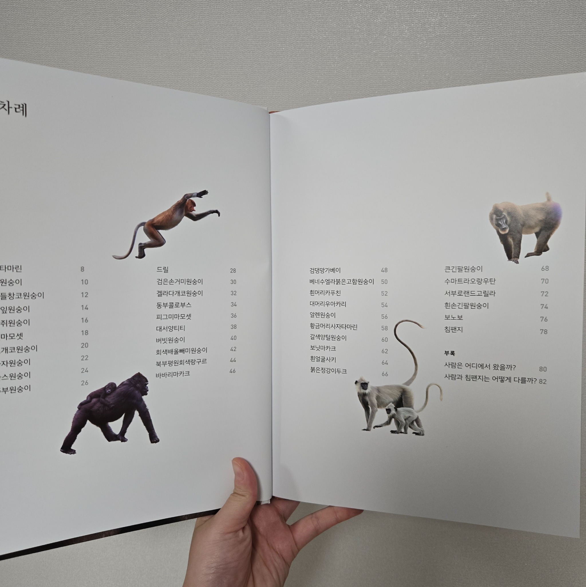 진짜 진짜 재밌는 영장류 그림책 - 교보문고