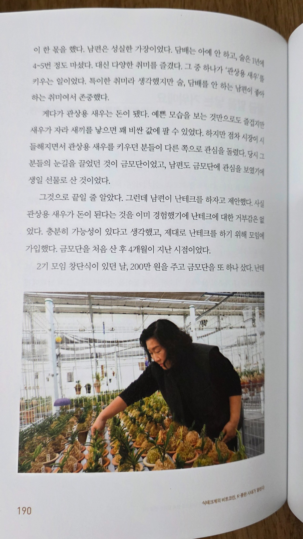 식테크계의 비트코인 K-풍란 시대가 열린다 | 김민석 - 교보문고