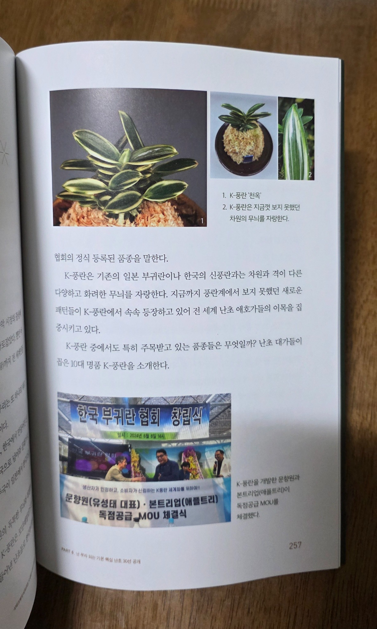 식테크계의 비트코인 K-풍란 시대가 열린다 | 김민석 - 교보문고