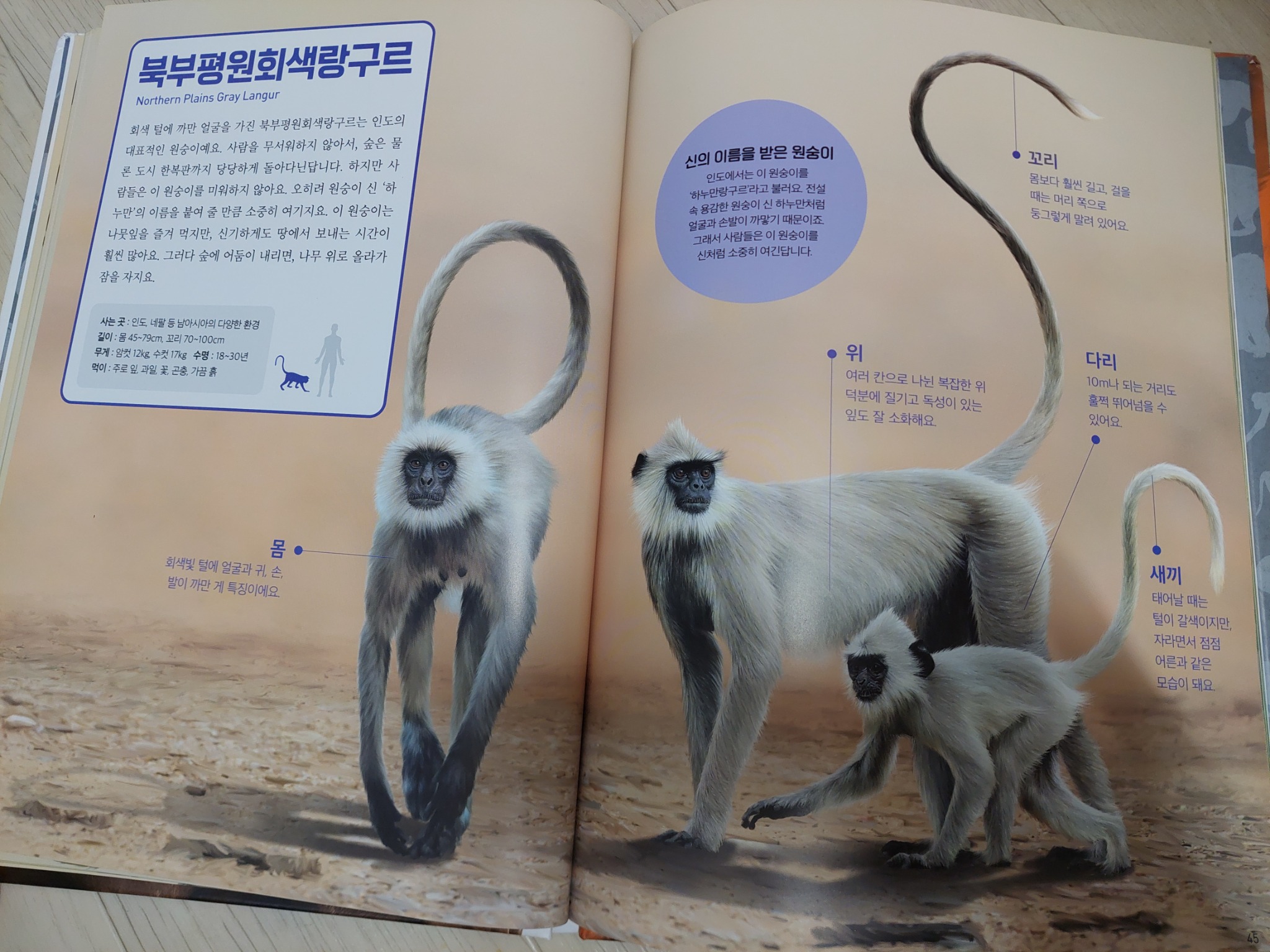 진짜 진짜 재밌는 영장류 그림책 - 교보문고
