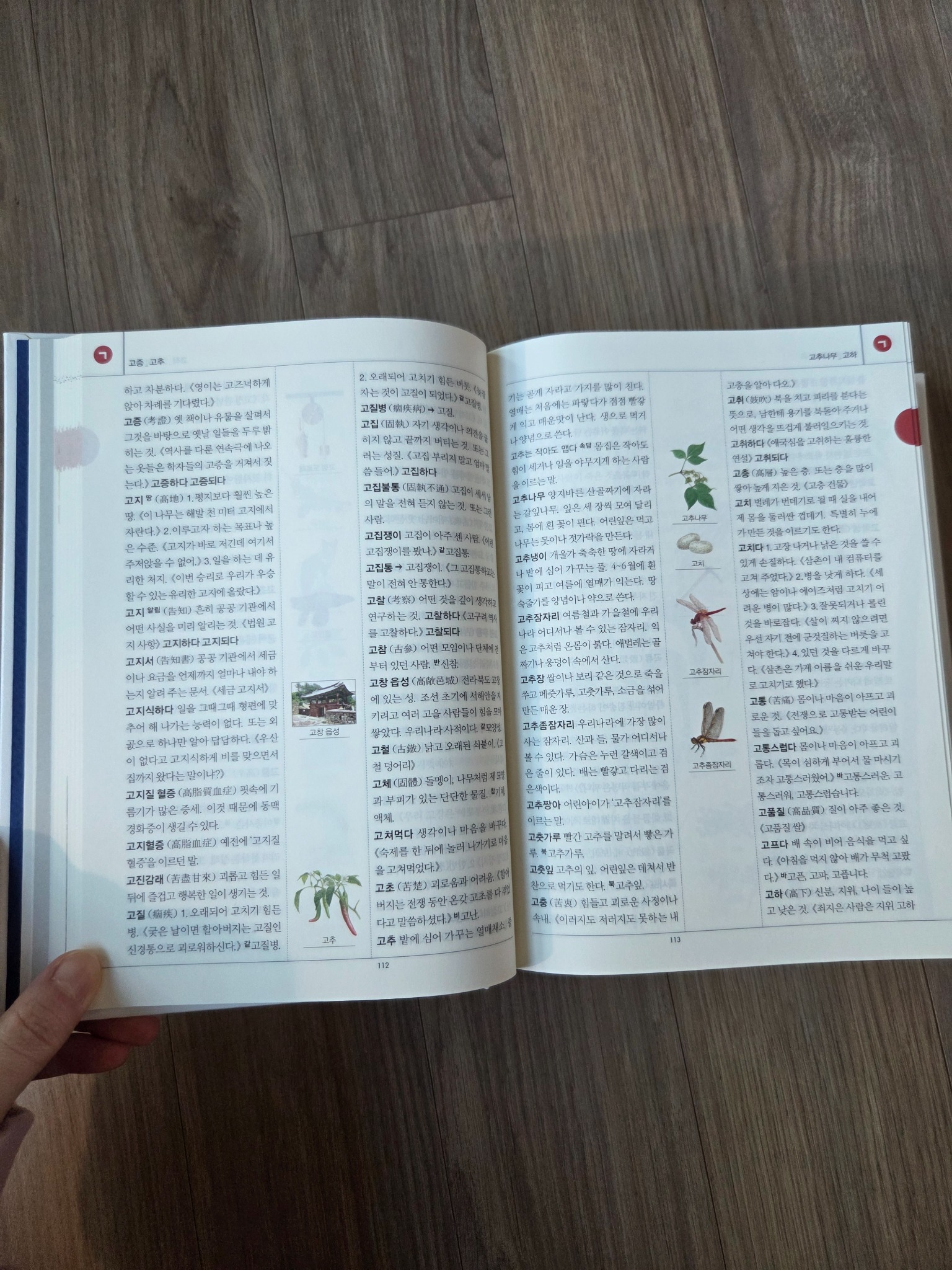 보리 국어사전(2026) | - 교보문고