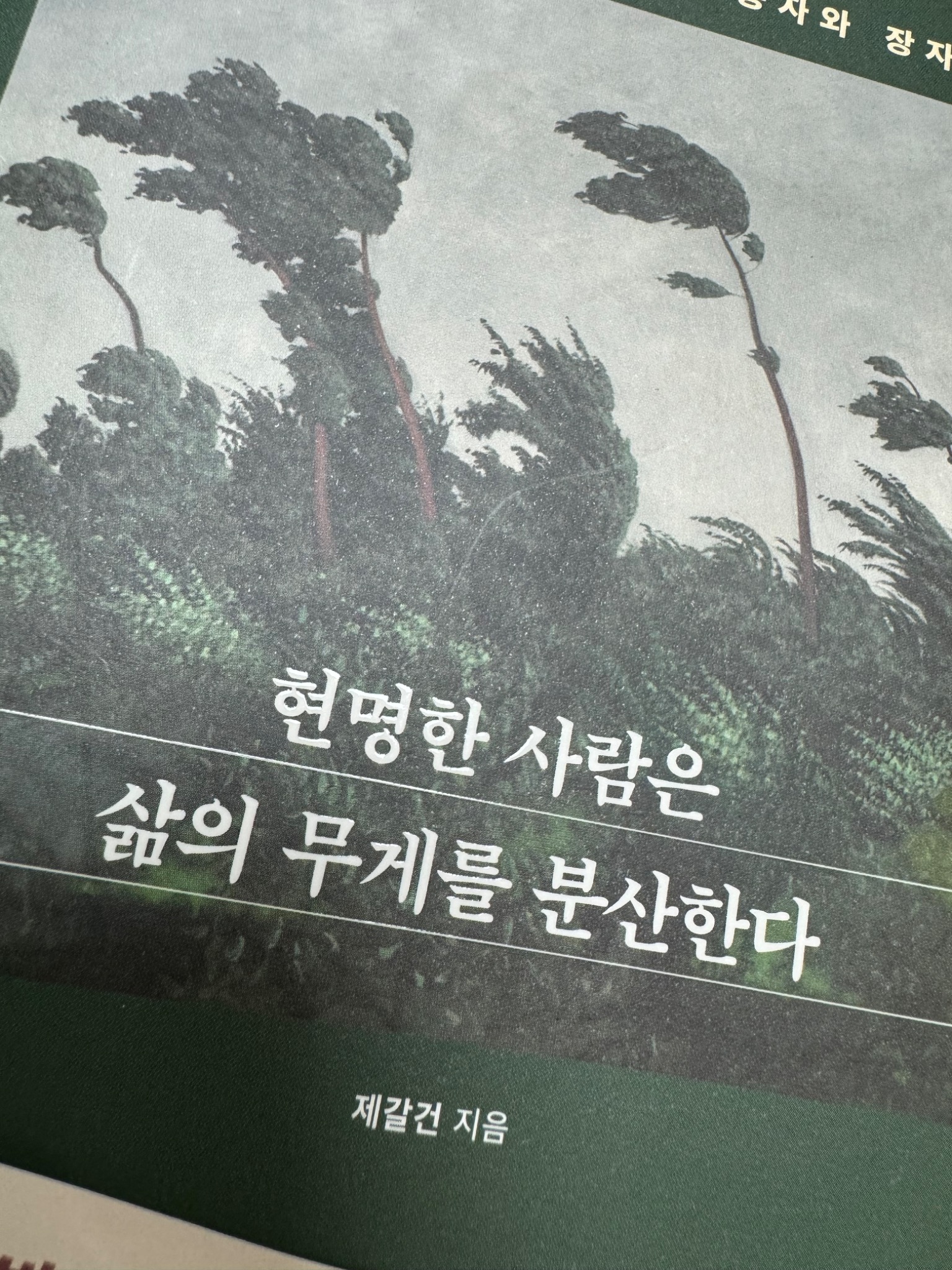리뷰 썸네일