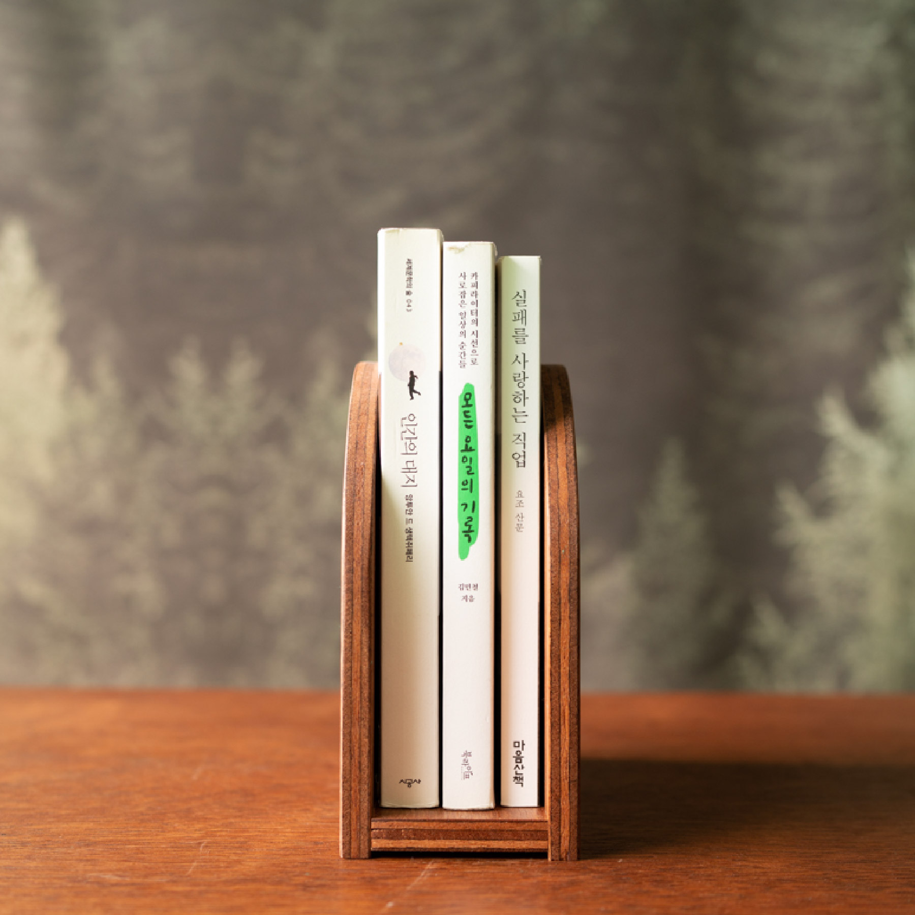 [각도와 커브] 미니 책꽂이 _ 엘 (El)