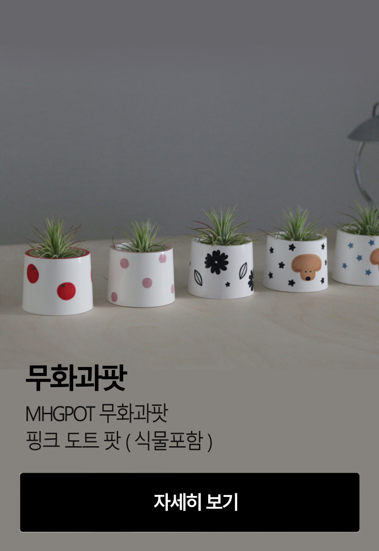 [무화과팟] MHGPOT 무화과팟 핑크 도트 팟 ( 식물포함 )