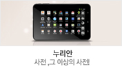 누리안