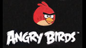 angry bird