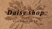 Daisy shop