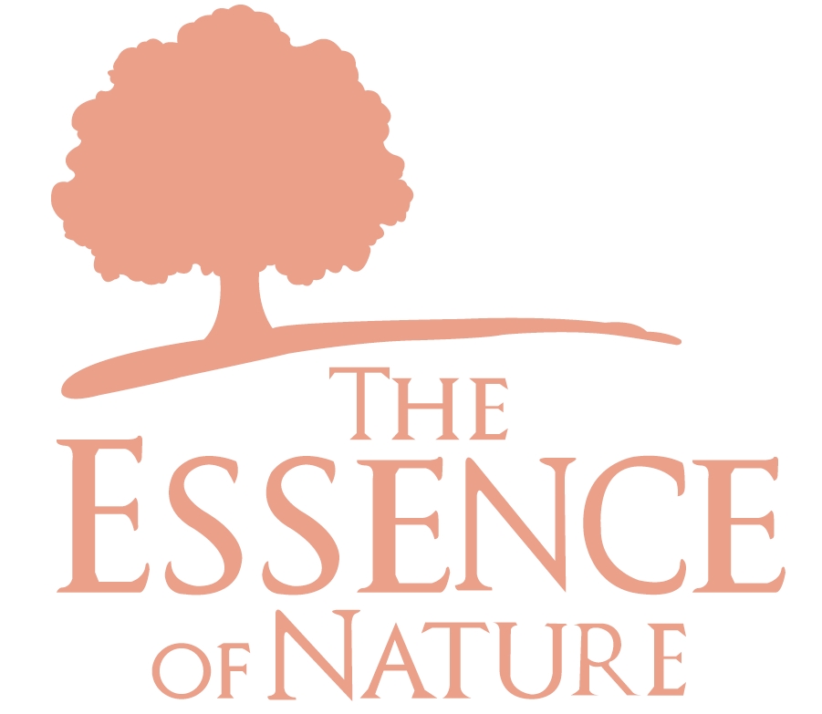 THE ESSENCE OF NATURE