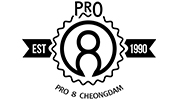 PRO8CHEONGDAM