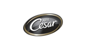 Cesar