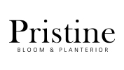 PRISTINE