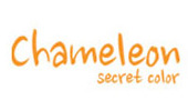 Chameleon secret