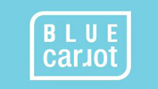 BLUE CARROT