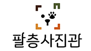 8층 사진관
