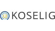 KOSELIG