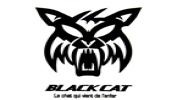 블랙캣