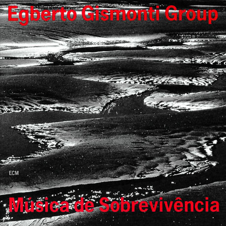 MUSICA DE SOBREVIVENCIA