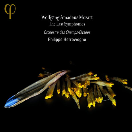THE LAST SYMPHONIES/ PHILIPPE HERREWEGHE [모차르트: 교향곡 39, 40, 41번 <주피터> - 필립 헤레베헤]