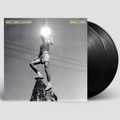 LOVE WHAT SURVIVES [LP]