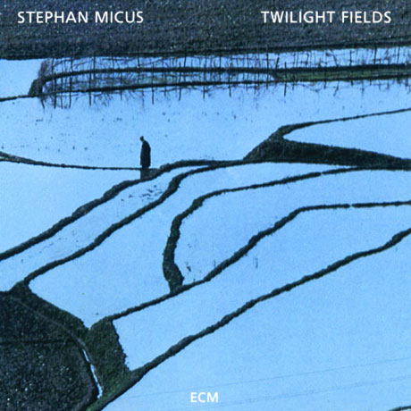 TWILIGHT FIELDS