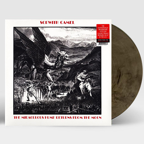 THE MIRACULOUS HUMP RETURNS FROM THE MOON [MARBLED SMOKE LP] [한정반]