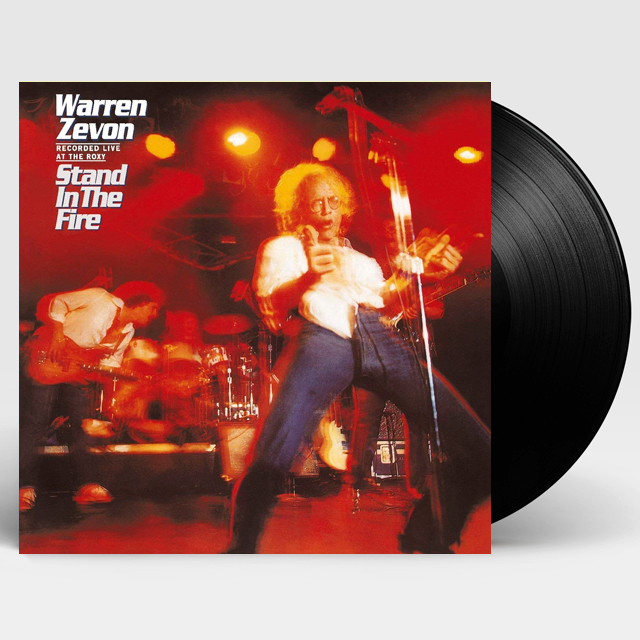 STAND IN THE FIRE [LP]