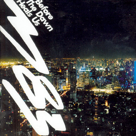 BEFORE THE DAWN HEALS US