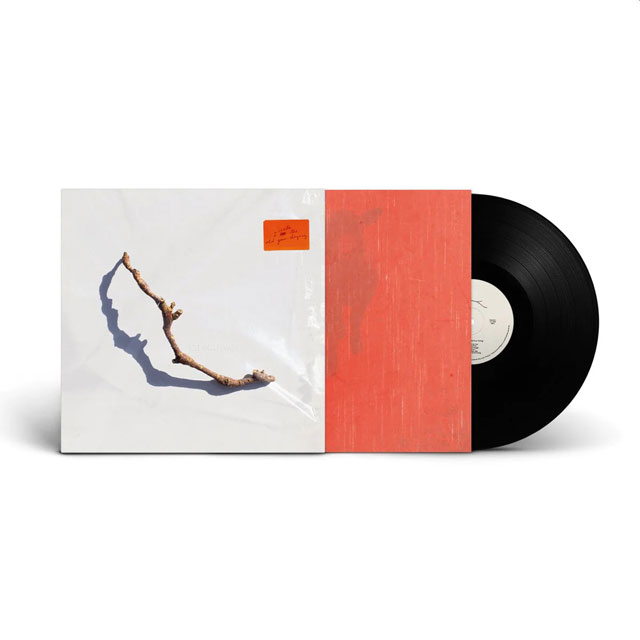 I INSIDE THE OLD YEAR DYING [LP]