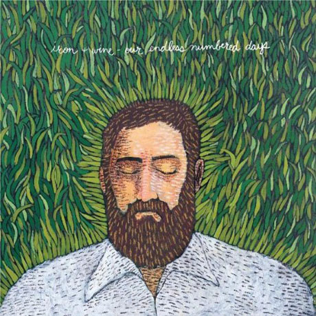 OUR ENDLESS NUMBERED DAYS [LP]