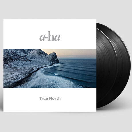 TRUE NORTH [LP]