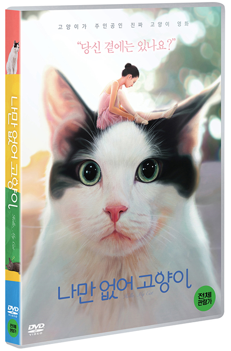 나만 없어 고양이